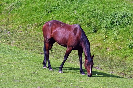 Foto aus der Fotogruppe 